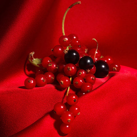 Currant Crush - Candle